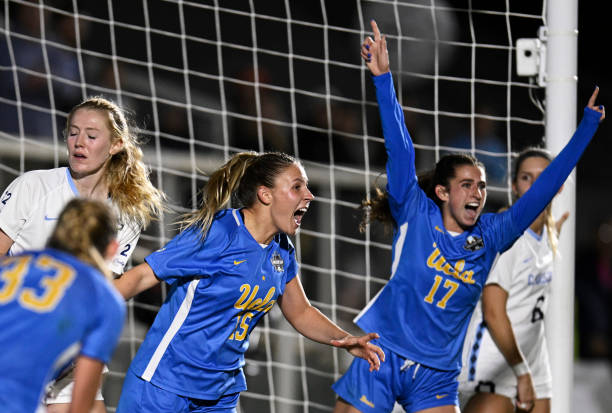 体系和发展 体系和发展