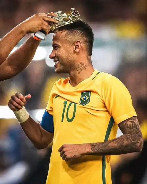 丰富的组织 丰富的组织